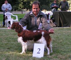 Cindy z Chotuckých alejí obtained excellent 2 and res.CAC