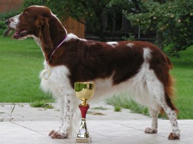 Cindy with medal and bowl from show at Mladá Boleslav
