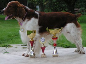 Crys with medal and bowls from show at Mladá Boleslav