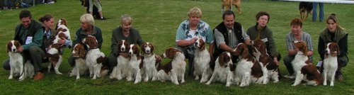 Common photo WSS at National dogs show Mladá Boleslav