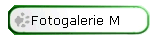 Fotogalerie M